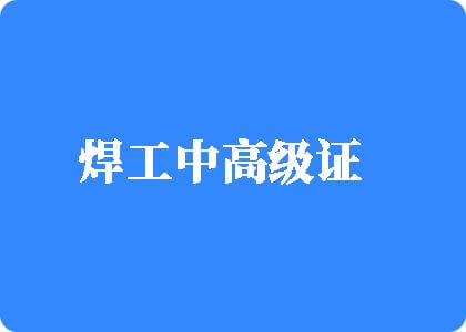 女人操逼大全焊工中高级证